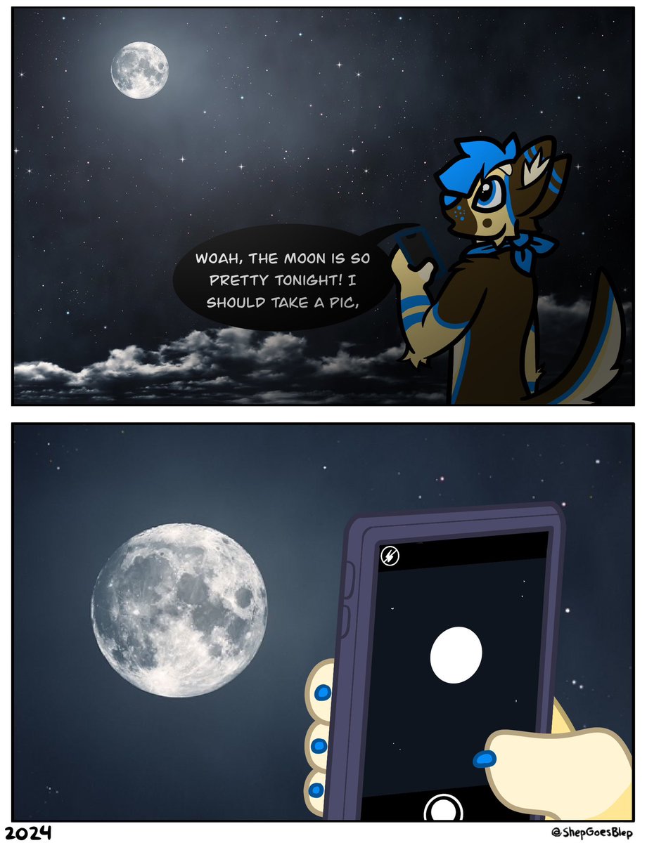 ShepGoesBlep's tweet photo. Moon https://t.co/aOVHBCcJaL