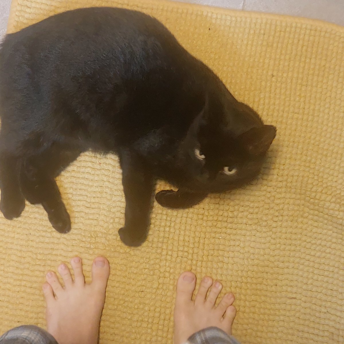 evil_leander's tweet photo. Fat fuck https://t.co/0UqKLogqfb