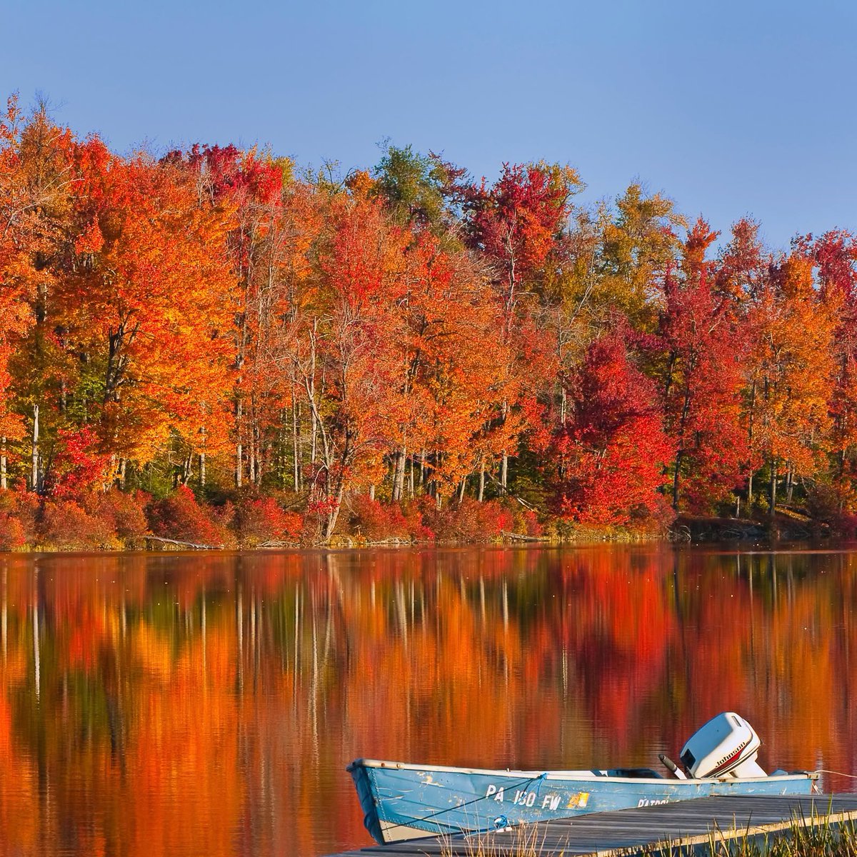 ADMoyerLumber's tweet photo. Fall Fun Fact: According to the PA Department of Conservation and Natural Resources (DCNR) fall foliage page, Pennsylvania has a longer and more varied fall foliage season than any other state in the nation — or anywhere in the world! Not only does Pennsylvania have a lot of trees, we have a wide variety of them… 134 separate tree species, in fact! 

📷PA Endless Mountains