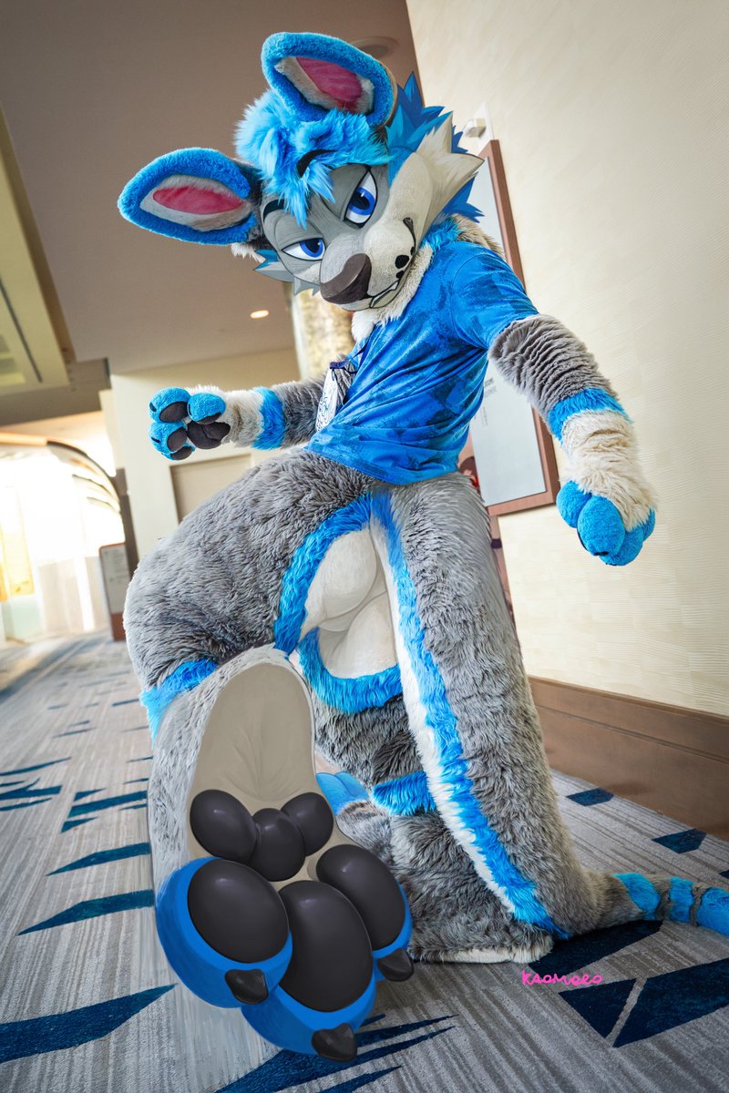 Kangazeroo's tweet photo. You like kissing paws don’t you

🎨: @Kaomoro97 
📸: @FlowTheWolf_ 
🪡: @WildFoxWorks https://t.co/EeFxh906iP