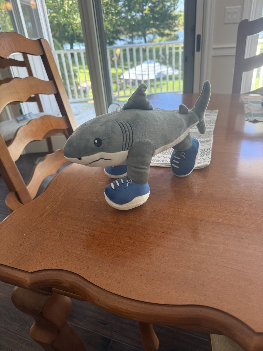 residentkaia's tweet photo. i fucking won a 3-legged shark in an online claw machine app and i fucking forgot about it until it showed up to my fucking house https://t.co/blLBPpeudl
