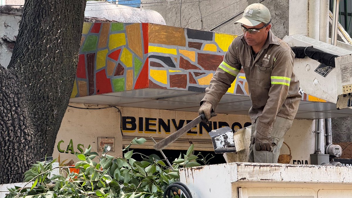 giogutierrezag's tweet photo. ¡Ahora #Coyoacán tiene un nuevo rostro! 🏡✨ Con servicios urbanos permanentes, obra que perdura para siempre y dispositivos de seguridad y recuperación de espacios públicos, mantenemos las calles iluminadas, ordenadas y limpias 🌳🏘️🚘. 

Llevamos a cabo una jornada más de mantenimiento y limpieza en nuestro querido Barrio de San Lucas 👷🏼‍♂️🧑🏻‍🔧👩🏼‍🏭

#ContigoImparables ✨