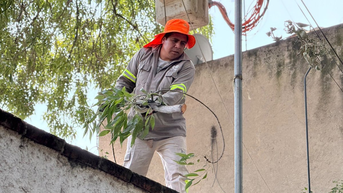 giogutierrezag's tweet photo. ¡Ahora #Coyoacán tiene un nuevo rostro! 🏡✨ Con servicios urbanos permanentes, obra que perdura para siempre y dispositivos de seguridad y recuperación de espacios públicos, mantenemos las calles iluminadas, ordenadas y limpias 🌳🏘️🚘. 

Llevamos a cabo una jornada más de mantenimiento y limpieza en nuestro querido Barrio de San Lucas 👷🏼‍♂️🧑🏻‍🔧👩🏼‍🏭

#ContigoImparables ✨
