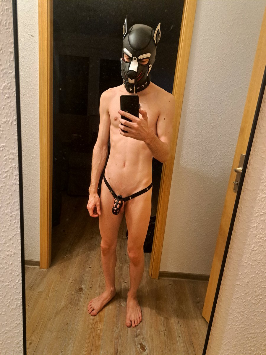 Pup_Sento's tweet photo. I will do Locktober this year for the first time and @pup_arkani decided it would be a good motivation to start one week earlier👉🏻👈🏻🔒 https://t.co/L9Dqfe45AA
