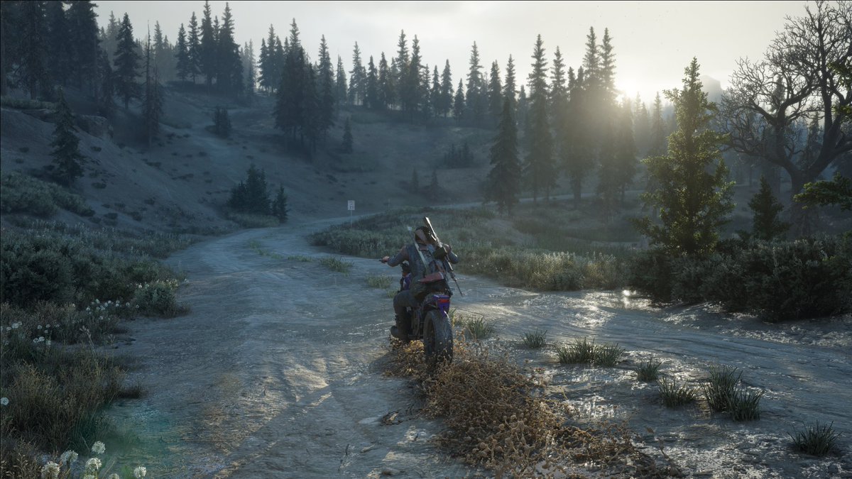 _ahmad98__'s tweet photo. Finished Days Gone Remastered. What a masterpiece.
#PhotoMode #DaysGone https://t.co/xnZDCUc8QT