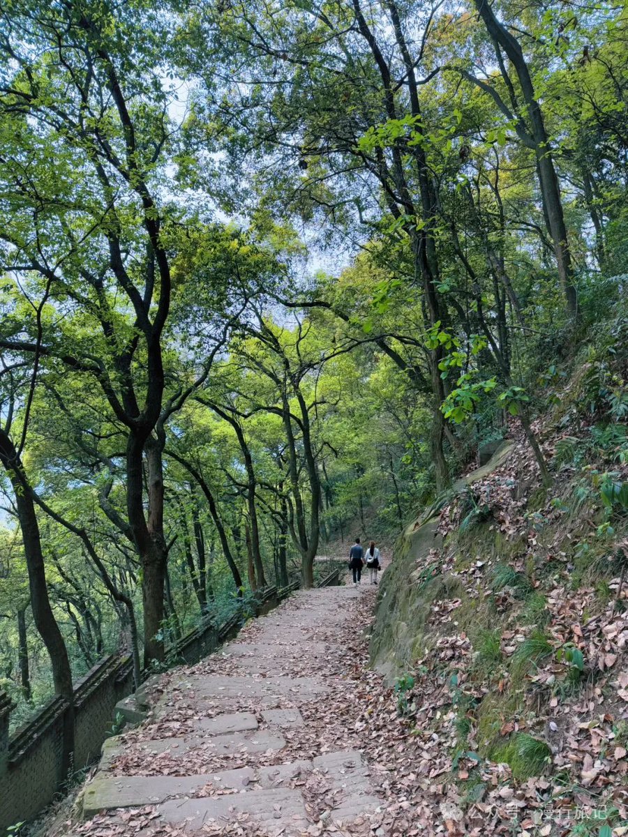 ZofiaRammvw's tweet photo. Hoy caminé bajo el sol, y cada paso me recordó que la felicidad está en los pequeos detalles.， https://t.co/Uok27JQBvv