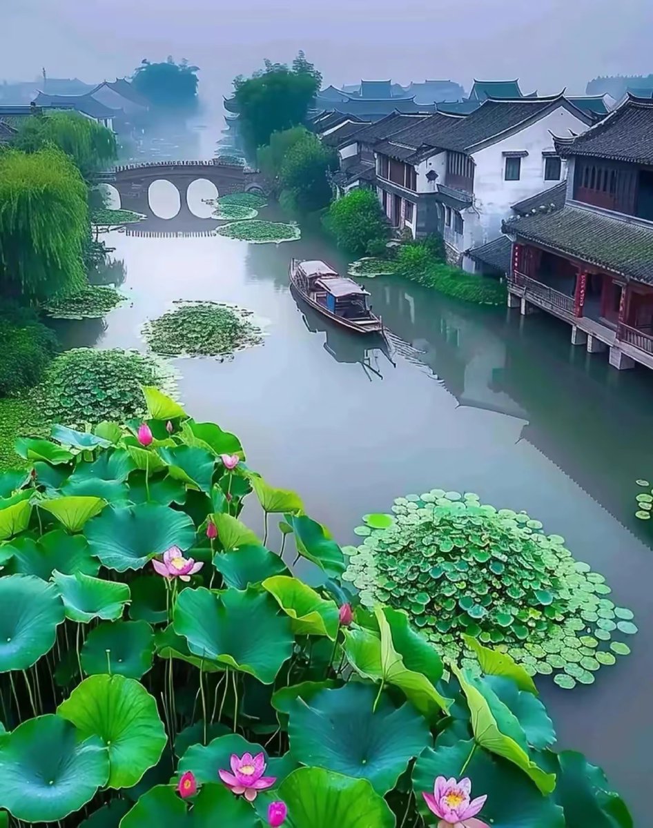 o1to03's tweet photo. A tranquil scene by Luanhe River, with rippling water and a fresh blooming lotus, full of quiet joy.， https://t.co/gCJnbJ9psp