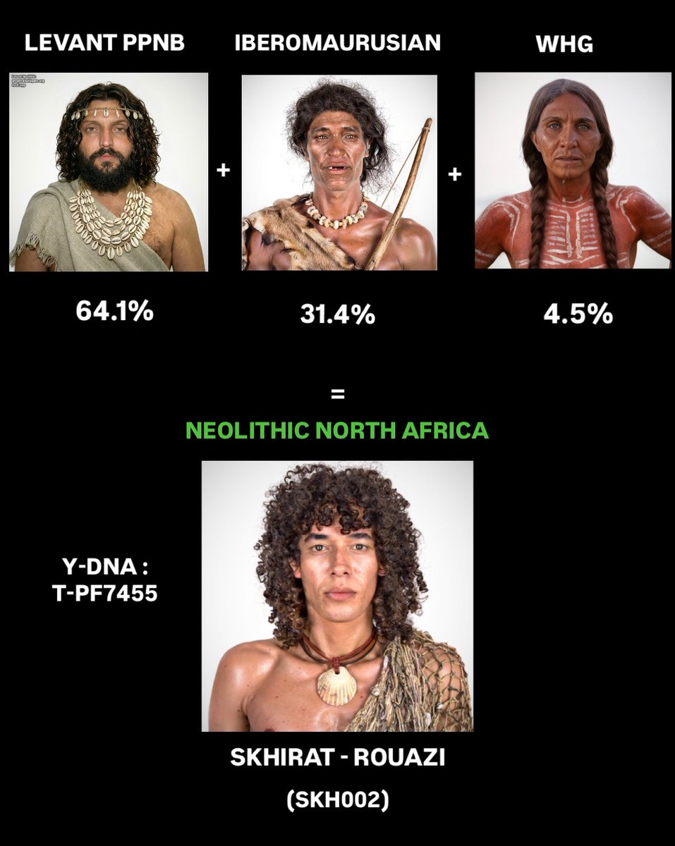 HimothyPhro's tweet photo. For those confused about the North African Skhirat samples https://t.co/ZpUNa1fmfB