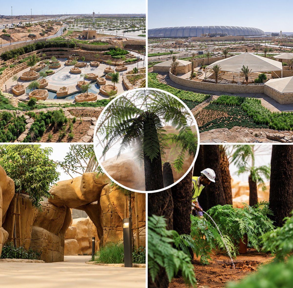 NewslyKSA's tweet photo. 🌿 آخر تطورات حدائق الملك عبدالله.. تقدم متسارع غرب الرياض 🇸🇦

🏗️ اكتمال الواجهات الخارجية لمبنى الهلالين
🌳 تقدم أعمال الحدائق والتشجير الخارجي
💦 تجهيز البيئات الداخلية بأنظمة رذاذ متطورة
🌱 المساحات الخضراء تتوسع مع تقدم التنفيذ
📐 مساحة تتجاوز مليوني م² https://t.co/OvlRNkDWAD
