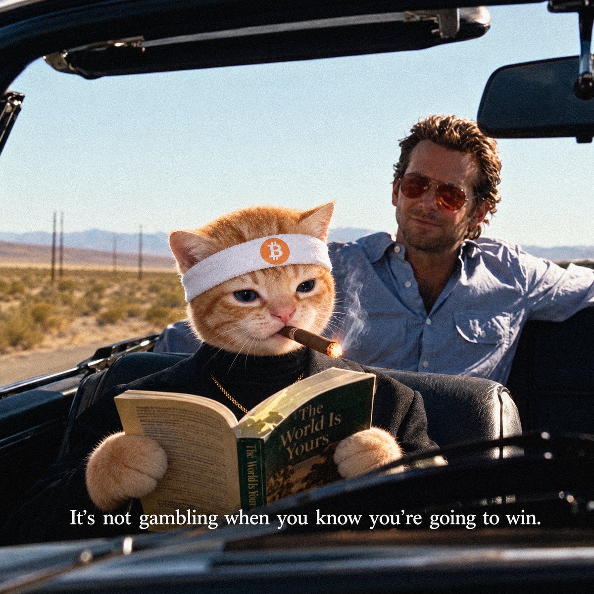 BTCbuythecat's tweet photo. @davidgokhshtein Oh wow, this is our thesis! Attract their interest with cat memes, and educate them about Bitcoin!

We’ve distributed $1.27million Bitcoin so far, much of it to first time holders. https://t.co/lCzDV2DtDQ