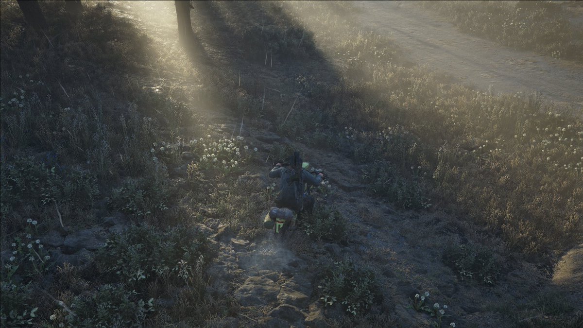_ahmad98__'s tweet photo. Finished Days Gone Remastered. What a masterpiece.
#PhotoMode #DaysGone https://t.co/xnZDCUc8QT