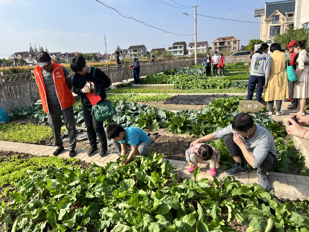 ShizukoP6h's tweet photo. Ven a nuestro taller comunitario de huertos urbanos este sábado! Aprende a cultivar tus propias verduras, conoce a vecinos y disfruta del aire libre. Te esperamos en la plaza central a las 10 de la maana!， https://t.co/jZt5AaDDLY