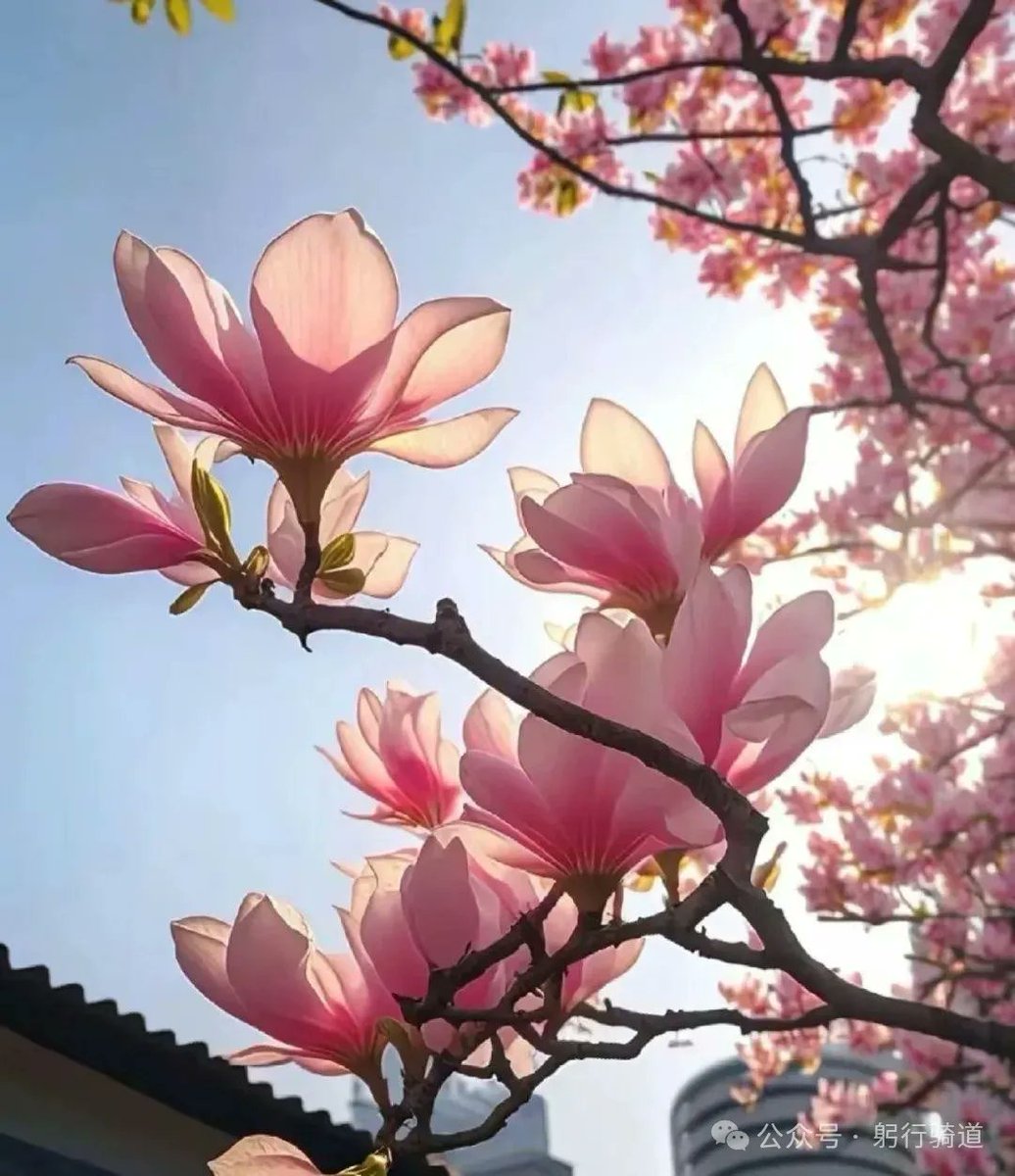 CaryFusouom's tweet photo. Hola,新学期！Nuevo semestre lleno de sueos, nuevas clases y muchas sorpresas que esperan ser descubiertas. Aprovechemos cada día para crecer, aprender y disfrutar de esta etapa llena de posibilidades. Vamos, equipo! https://t.co/RrrThDKcuO