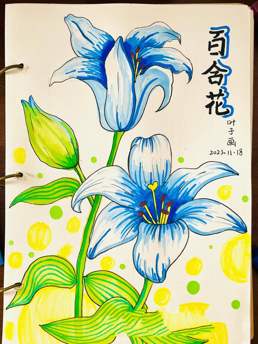 DAYLEELLIM2j4's tweet photo. Buscas una nueva hobby en tu tiempo libre Prueba a aprender dibujo básico! No necesitas materiales caros, solo ganas de crear. https://t.co/b3ihyEknsp