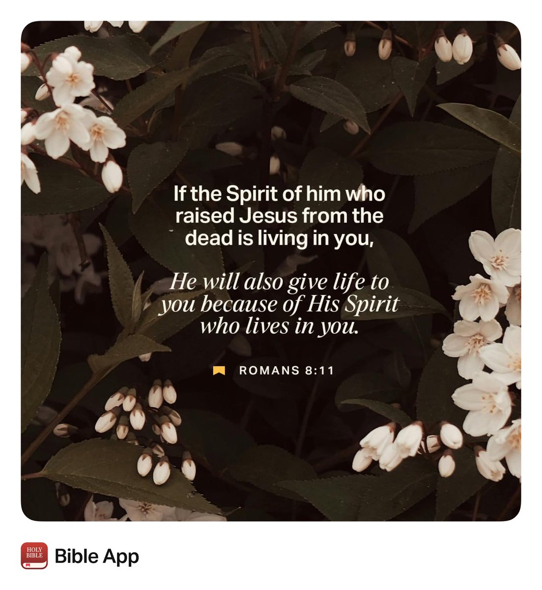 crescentcog's tweet photo. “But if the Spirit of Him who raised Jesus from the dead dwells in you, He who raised Christ from the dead will also give life to your mortal bodies through His Spirit who dwells in you.”
Romans 8:11 NKJV https://t.co/2dD2LDQoiG