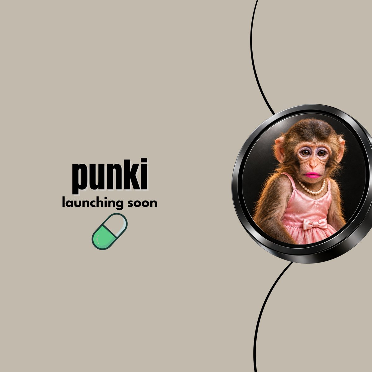 PunkiMeme's tweet photo. FINALLY, it's time to launch our own token on SOLANA! 

Ticker: $punki

18% of the TOTAL SUPPLY will be AIRDROPPED equally among all the wallets below, just interact and drop your SOL addresses https://t.co/KGOC1E7q0a