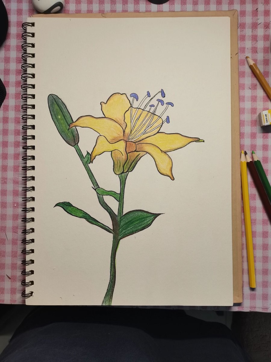 Tarenfly0's tweet photo. Descubre un nuevo hobby: el dibujo. No necesitas ser experto, solo disfruta crear. ， https://t.co/wFIa0rYIMw