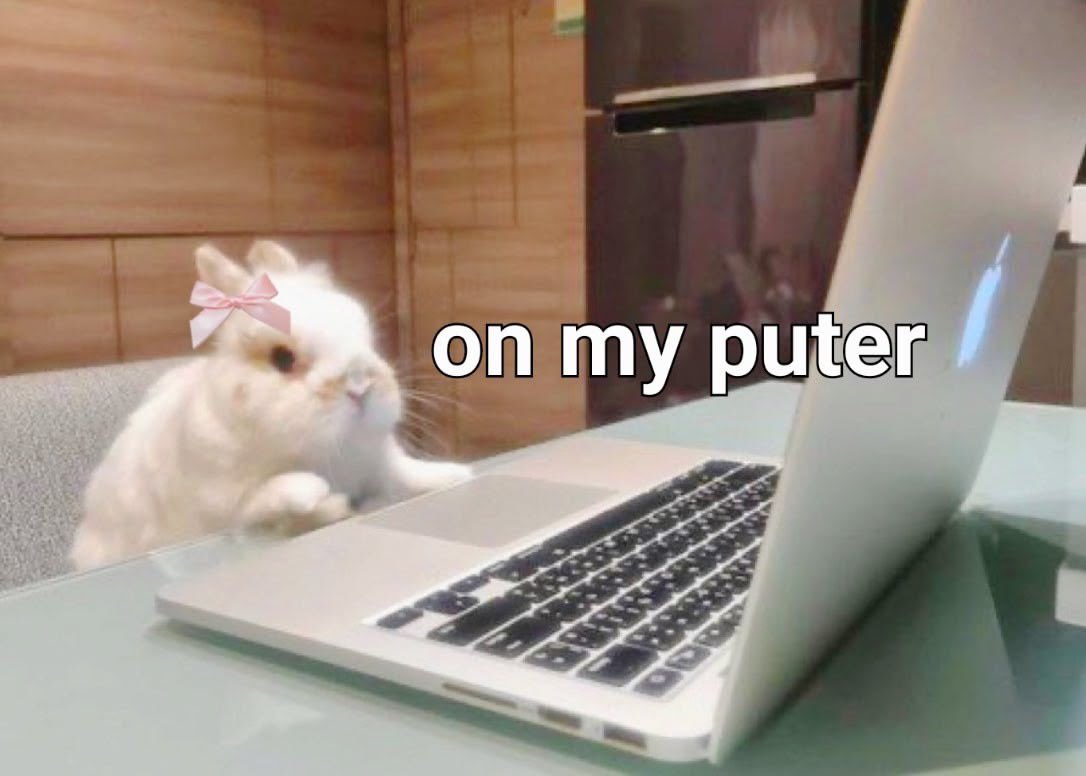 bunnyposting_'s tweet photo. logging on https://t.co/b8pDdhGjlA
