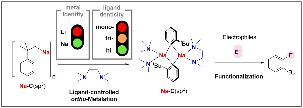 erli_lu's tweet photo. Organosodium mediated ortho-selective C(sp2)-H metalation. Check it out in @ChemicalScience: https://t.co/8TkefqTccU
Another nice paper with the @r_armstrong_lab, @jad5888 groups. Well done @Matthew_Lowe11.

@UoBChemistry @ChemistryNCL https://t.co/PUgJw6yhDB