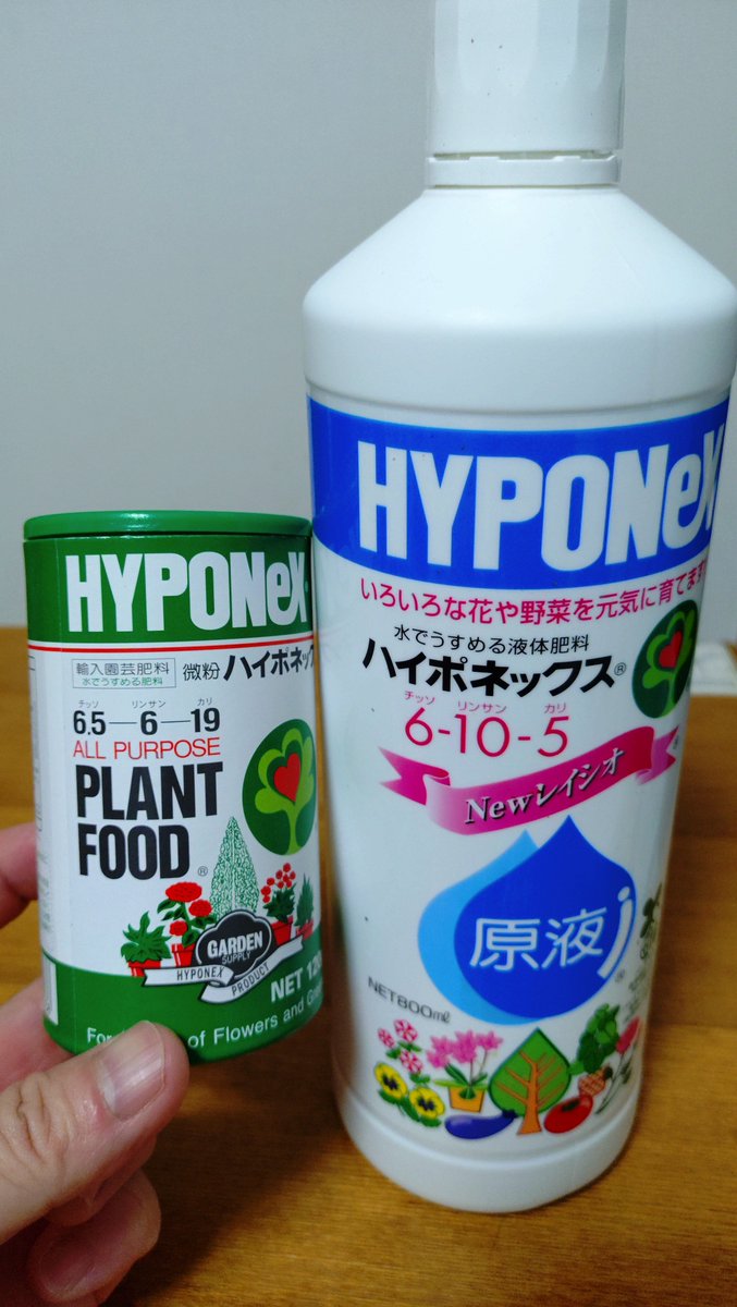 eritan0418's tweet photo. 粉タイプのハイポネックスはカリウムが多いので、根の成長が凄い。モヤシみたい(笑)。
豆苗の葉や茎を成長させたいので、液肥は栄養バランスの良い液体タイプに変えることに。
肥料には窒素・リン酸・カリウムの配合比が記載されているから、植物のどの部位を成長させたいかで肥料選びをするそうです。 https://t.co/S4IlekawiS