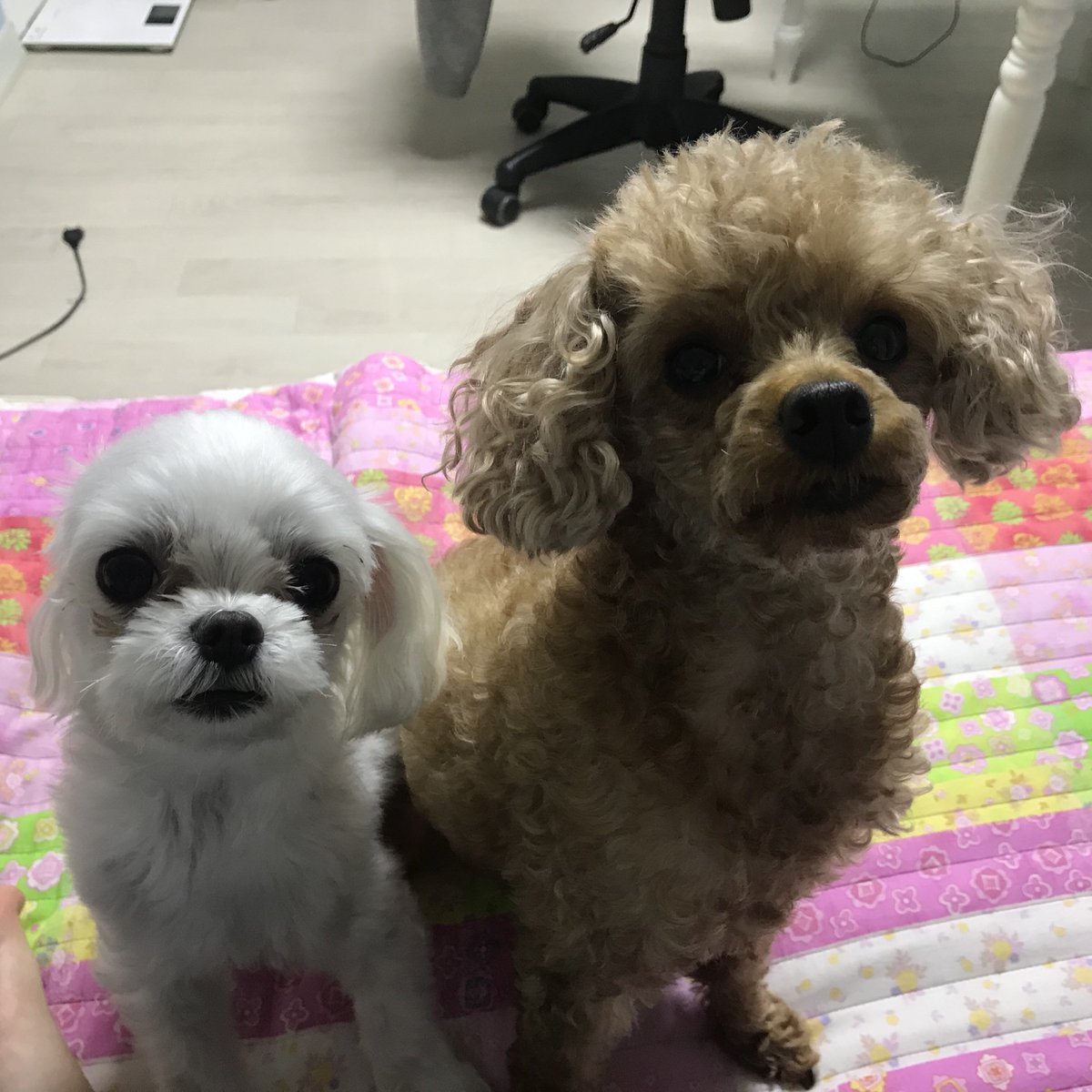 finance784's tweet photo. 다시보고싶다 바보같은것들 https://t.co/hYpcp5gTRS