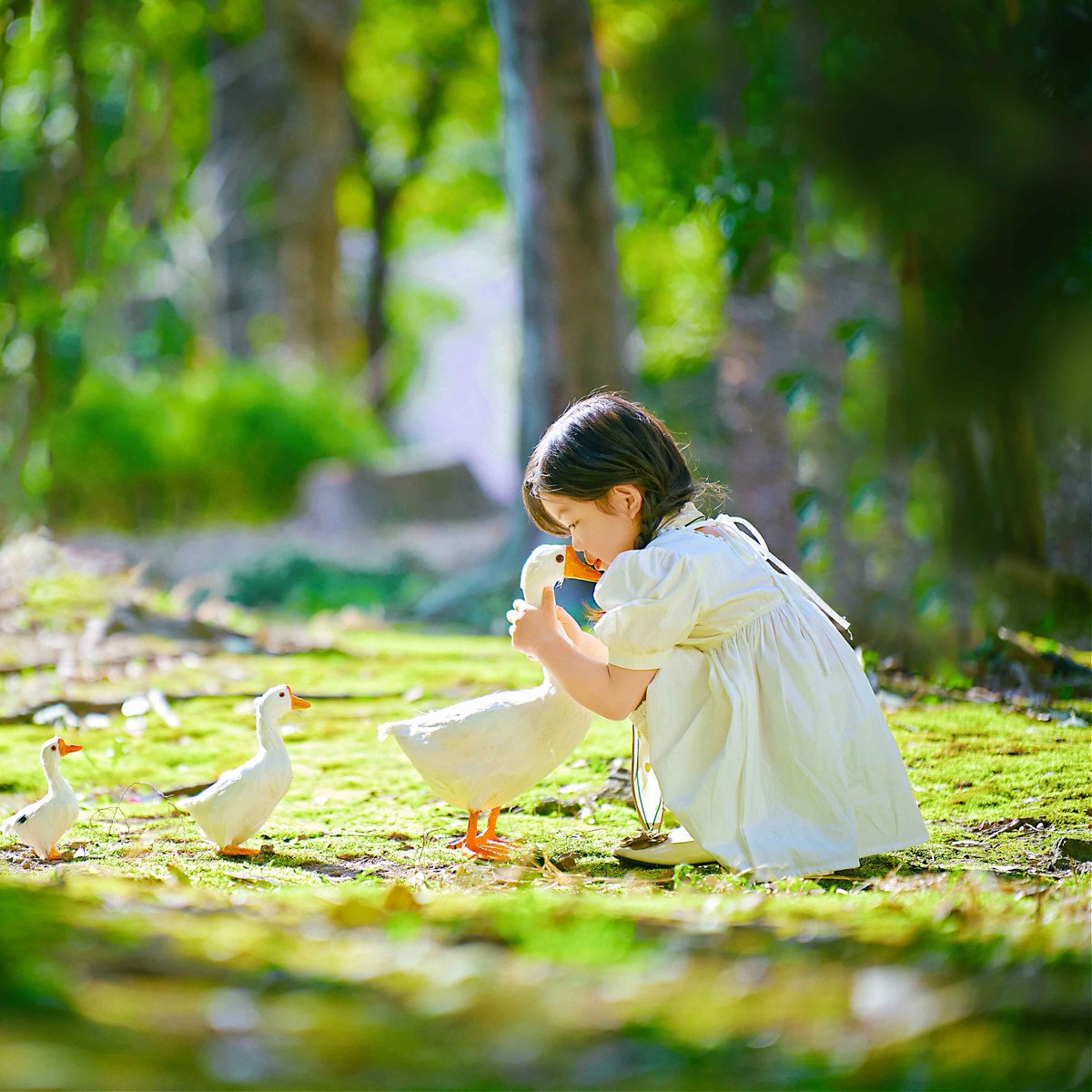fluxplu438's tweet photo. In the quiet lane, she cheeked the goose's quack, delighted to send a small gift, her eyes catching every lovely sight. https://t.co/Cffl2ocrGM