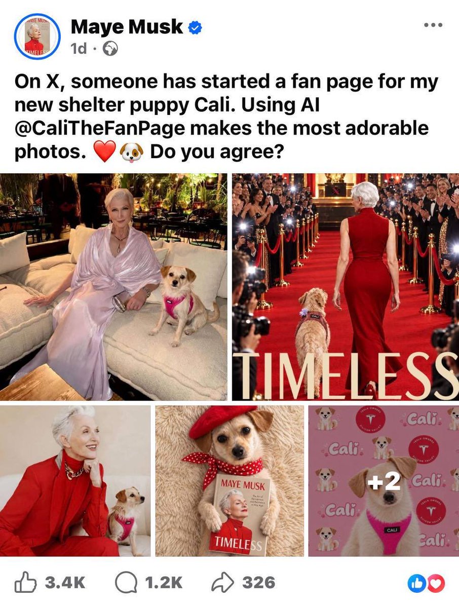 0xSeneka's tweet photo. solana:8k4sBtEeK4pf26noKqApv8NBTnuSJcbdwpKYknk5PbAA again
Find dip

The literal mother of Elon Musk @mayemusk 
Posted a fucking X account to her dogs memecoin
On Instagram and Facebook https://t.co/y7MmvblO8X