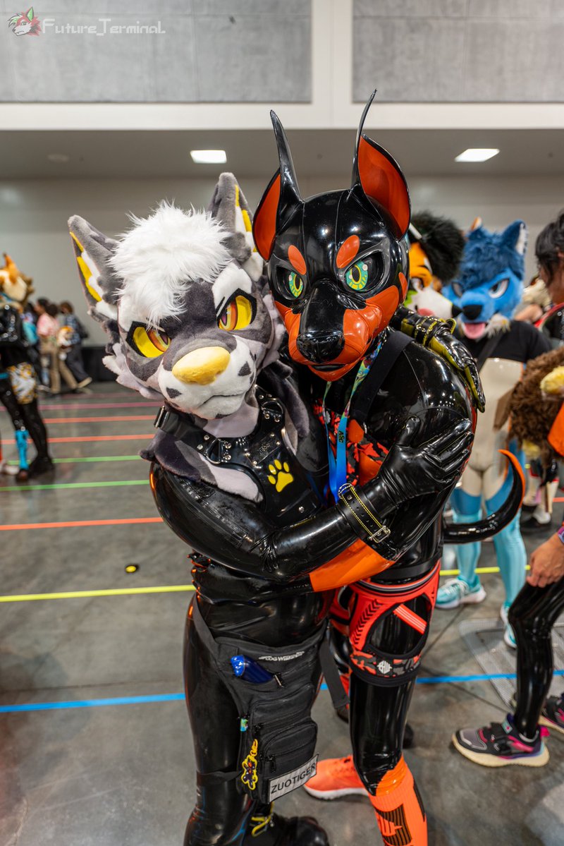 AnejoYote's tweet photo. Sometimes I’m very huggable ~ https://t.co/MCTxOqrVHU