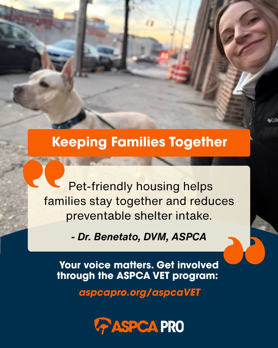 ASPCAPro's tweet photo. The work and advocacy vets do help many animals! For Dr. Benetato, joining the @ASPCA Veterinary Engagement Team helps her advocate for pet-inclusive housing and keep pets and their families together. Help one, help many, that's #TheRescueEffect! https://t.co/IrsWjPkXcn https://t.co/En2BuTuMM0