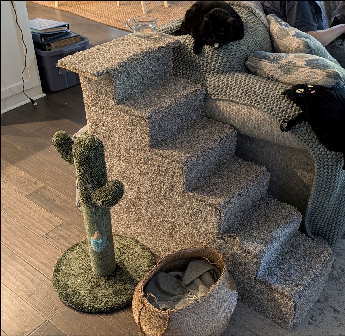 Limelon's tweet photo. Built and carpeted 3 stairs for Midnight. Unfortunately, she injured herself over a month ago and the vets believe she has nerve damage either in her spine or left rear leg. I built these so she can get up to her favorite spots without jumping.
She also requested a cup holder. 😆 https://t.co/CPwz3SLBq7