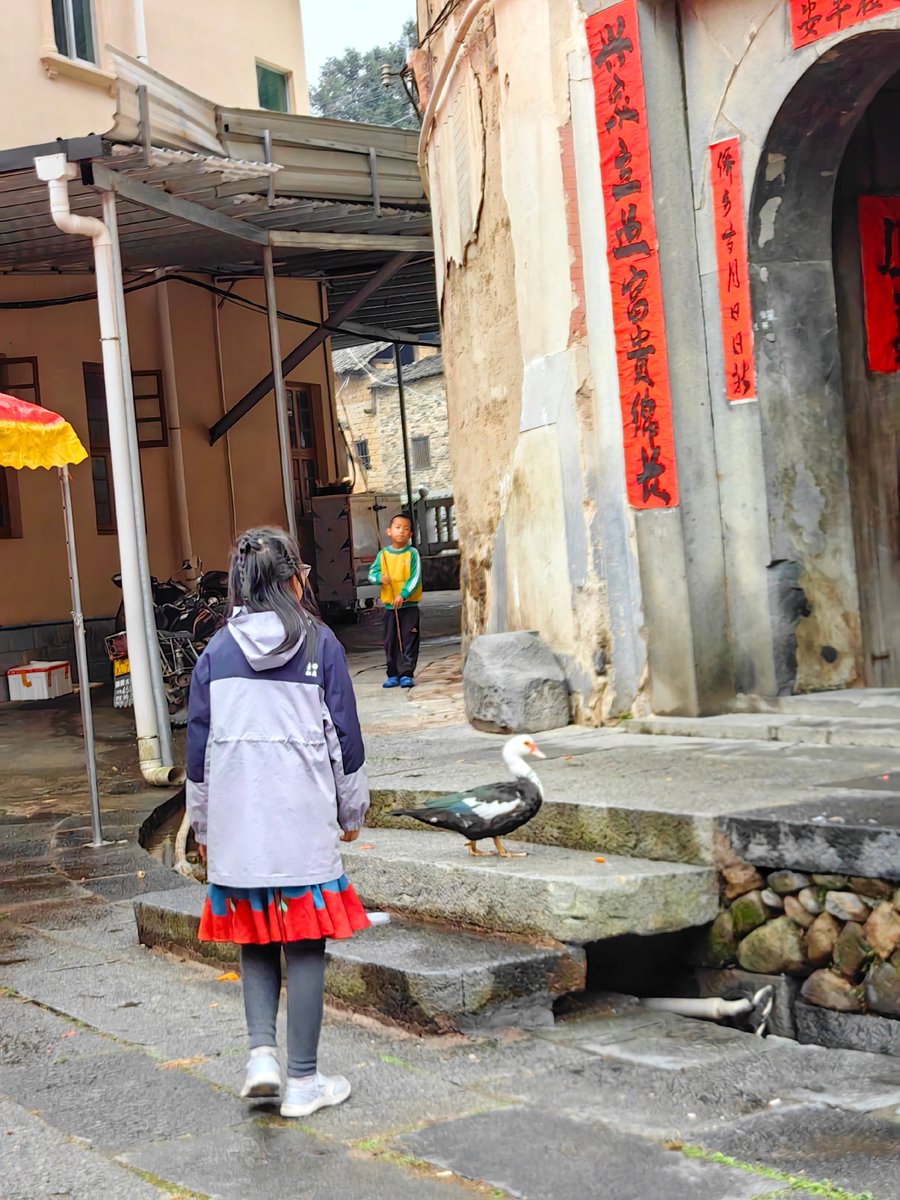 choeeun40354364's tweet photo. [I stood at the mountain pass on the edge of the cliff, the tall ancient rotting coffin lying quietly in the mist, with the small town of Zhangzhou far below.] https://t.co/CzPVGboU66