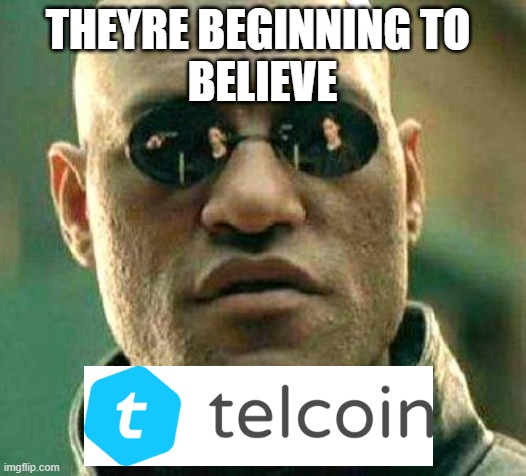 BZ_crypto1 tweet picture