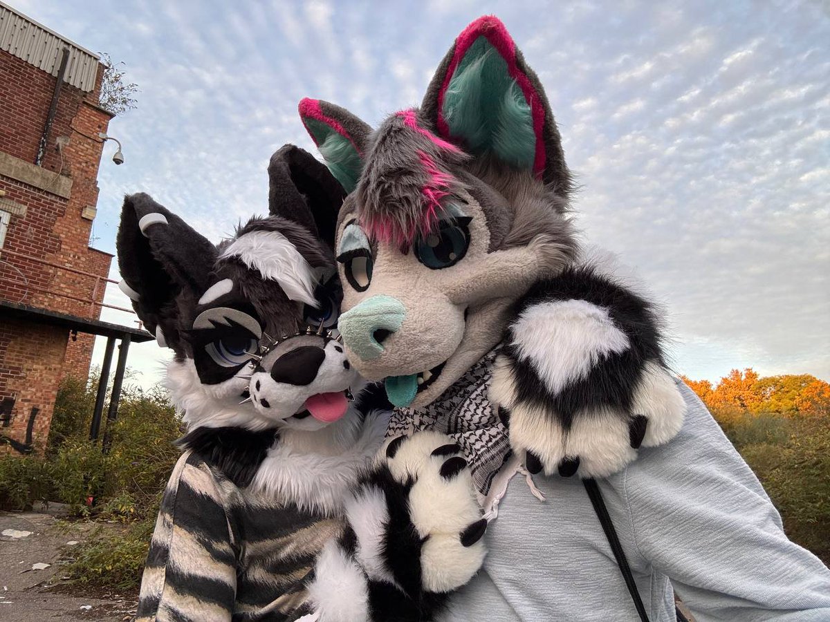 MisoHusky's tweet photo. Had an awesome getaway with my incredible wusky puppy @SilverCruxx will post some more cute stuff later on ^^

#fursuiter #furry #murrsuiter https://t.co/j19qIdj1VV