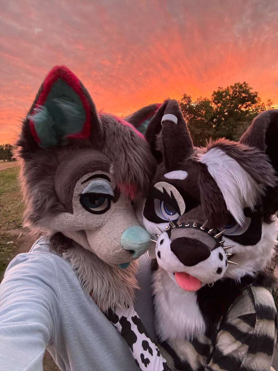MisoHusky's tweet photo. Had an awesome getaway with my incredible wusky puppy @SilverCruxx will post some more cute stuff later on ^^

#fursuiter #furry #murrsuiter https://t.co/j19qIdj1VV