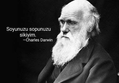 B1GK4F's tweet photo. @Liberalmehmet31 https://t.co/jnZ21eB6iW