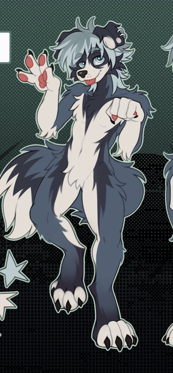 marriouss's tweet photo. ref sheet for border collie!
#furry #furryartwork #furryartㅤㅤㅤ https://t.co/Up4FmOkiaL