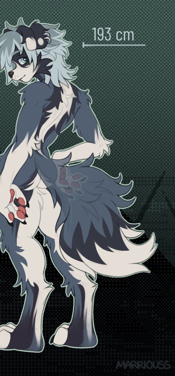 marriouss's tweet photo. ref sheet for border collie!
#furry #furryartwork #furryartㅤㅤㅤ https://t.co/Up4FmOkiaL