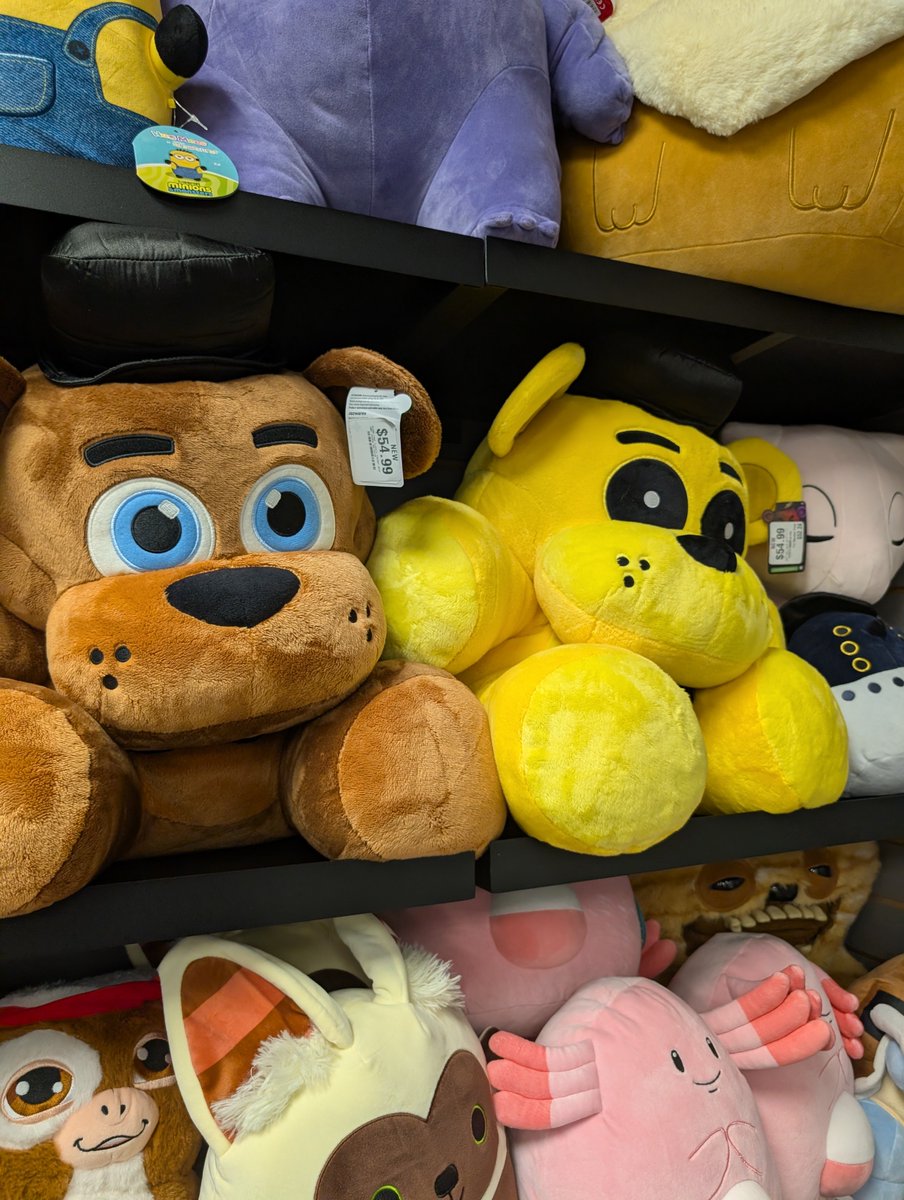 Jay12163757997's tweet photo. GameStop had WAY more FNAF stuff than usual this time! 👀 They had so many Classic Bonnie Endo packs, but still no Foxy… 😭 I did find Dandy though

I’m heading to another GameStop soon to see what they have, so hopefully we can find him! Video coming soon https://t.co/rkzRO4GJmz