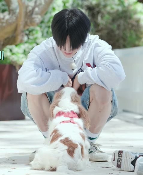 hanjiiico's tweet photo. #hyunin few tweets au

onde hyunjin está atrasado e, no meio da correria, acaba sendo acusado pelo próprio vizinho de sequestrar um cachorro.

ou

onde jeongin só queria chegar em casa, mas acaba tendo que lidar com hyunjin, o vizinho que o detesta, e um cachorro perdido. https://t.co/Oc6F24DLWb