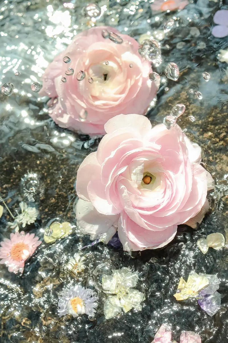 FelicitasP0c's tweet photo. 心の中がふわふわしてて、なんだか不思議な気分。まあそんな時もあるよね ☕️ https://t.co/DP4cPwkUOx