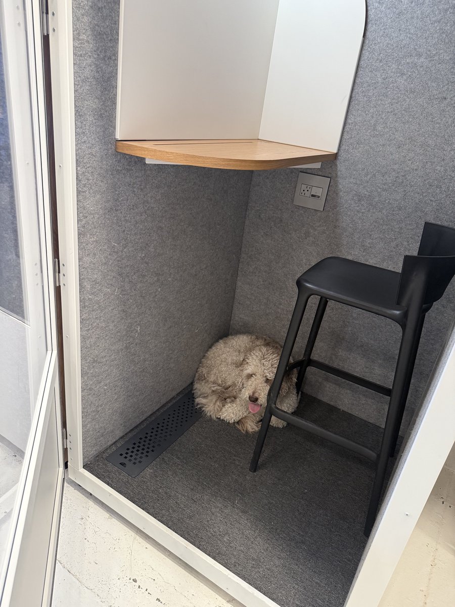 ohh_susannah's tweet photo. wagyu has assumed crisis comms. he'll be in the phone booth until the rogue ai agents behave https://t.co/EEMt53O2pW