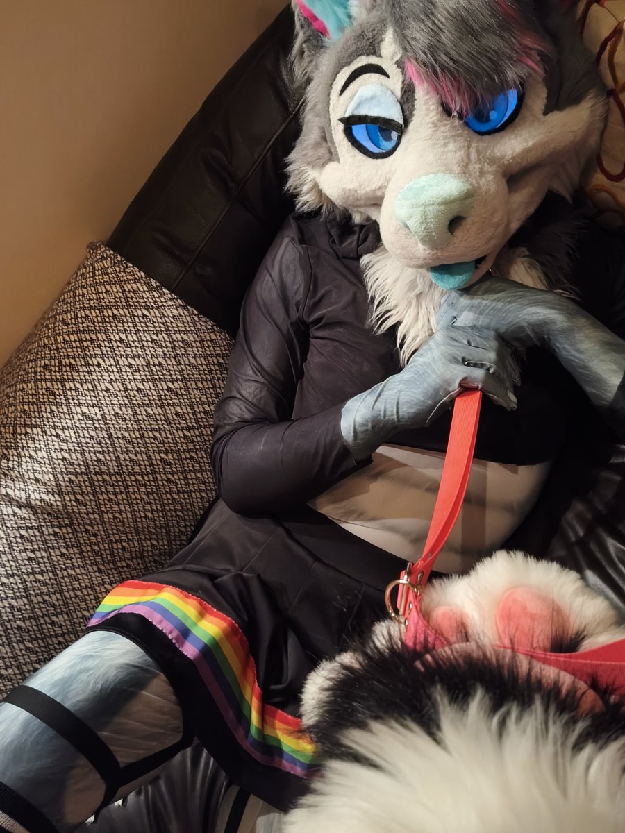 MisoHusky's tweet photo. Bet you wish you had a cute lil pet like I do huh...? Welllll, can't have this one, he's owned already~ 🥴
@AdCruxwusky

#murrsuiter #murrsuit #fursuiter #furry #femboy https://t.co/fSwZQLLgix