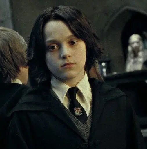 doeandstan's tweet photo. James Potter viu isso e decidiu que o atormentaria durante seus anos escolares só para vê-lo chorar. Por favor, tire essa sua bunda gay de perto de mim. https://t.co/9yKQxiHv9N