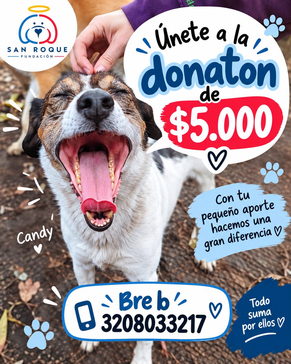 FundacionLucila's tweet photo. SUMATE A LA DONATÓN 🚨

Estamos buscando 500 personas que donen $5.000 para completar $2.500.000 🙏🏼
El dinero será destinado para pagar el agua y abonar a la deuda veterinaria 🥺

Por favor no se olviden de nuestros 270 perritos, ellos los necesitan 🙏🏼 https://t.co/3xYiiUSuWB