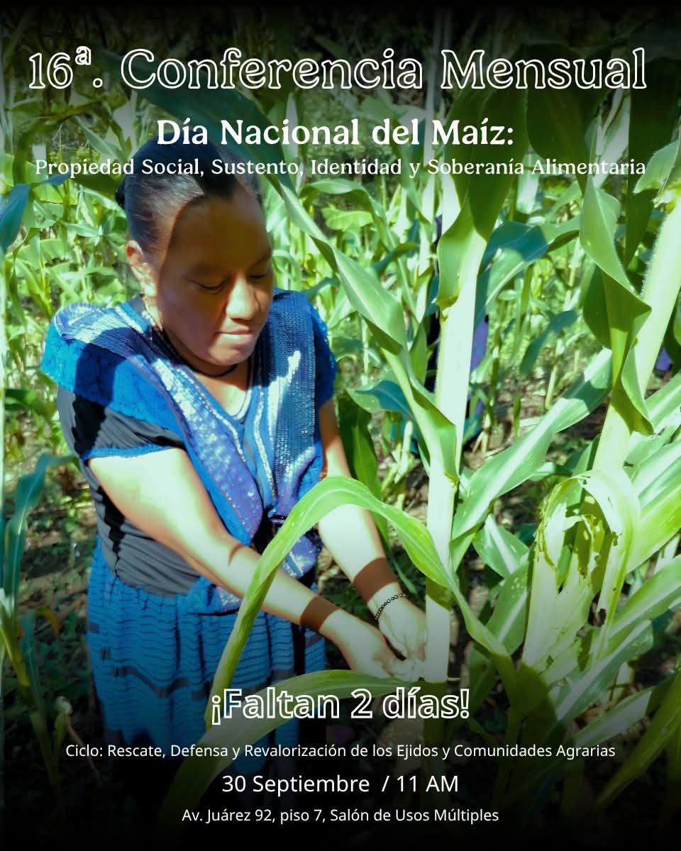victor_suarez's tweet photo. ⏳ ¡Faltan 2 días!

Cada vez estamos más cerca de la 16ª Conferencia Mensual 🌽

Acompáñanos a reflexionar sobre el Día Nacional del Maíz y su relación con la Propiedad Social, el Sustento, la Identidad y la Soberanía Alimentaria.

📅 30 de septiembre | 11:00 h
📍 Av. Juárez 92, piso 7, Salón de Usos Múltiples.

📲 También podrás seguir la transmisión en vivo a través de nuestro canal oficial de YouTube: 
@procuraduria_agraria

¡Te esperamos!

#ProcuraduríaAgraria #DíaNacionalDelMaíz #PropiedadSocial #SoberaníaAlimentaria