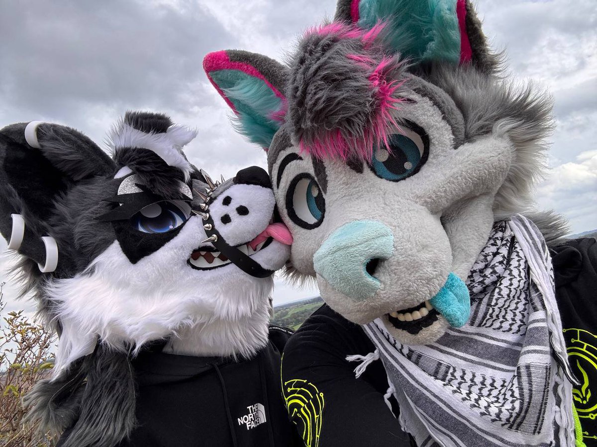 MisoHusky's tweet photo. @SilverCruxx Get licked idiot!!! We will do this again soon cutie https://t.co/gxtn8xbpKg