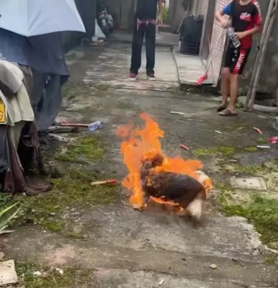 OccupyRedding's tweet photo. Sinclair Media Group Has Hundreds Of News Stations yet REFUSES do a interest story about #WangWang in hopes of creating animal cruelty laws in China - Angry? You can reach the corporate headquarters of Sinclair Broadcast Group (Sinclair, Inc.) 410 568-1500 #JusticeForWangWang https://t.co/9grhhDdYfn
