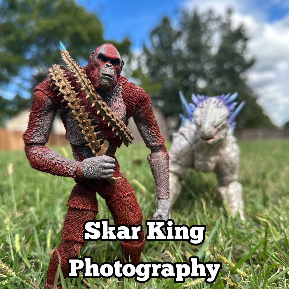 Nightlizard1564's tweet photo. Decided to do a quick Skar King photography thread since had some time today 🙏🏾 https://t.co/mOboOjwIdS
