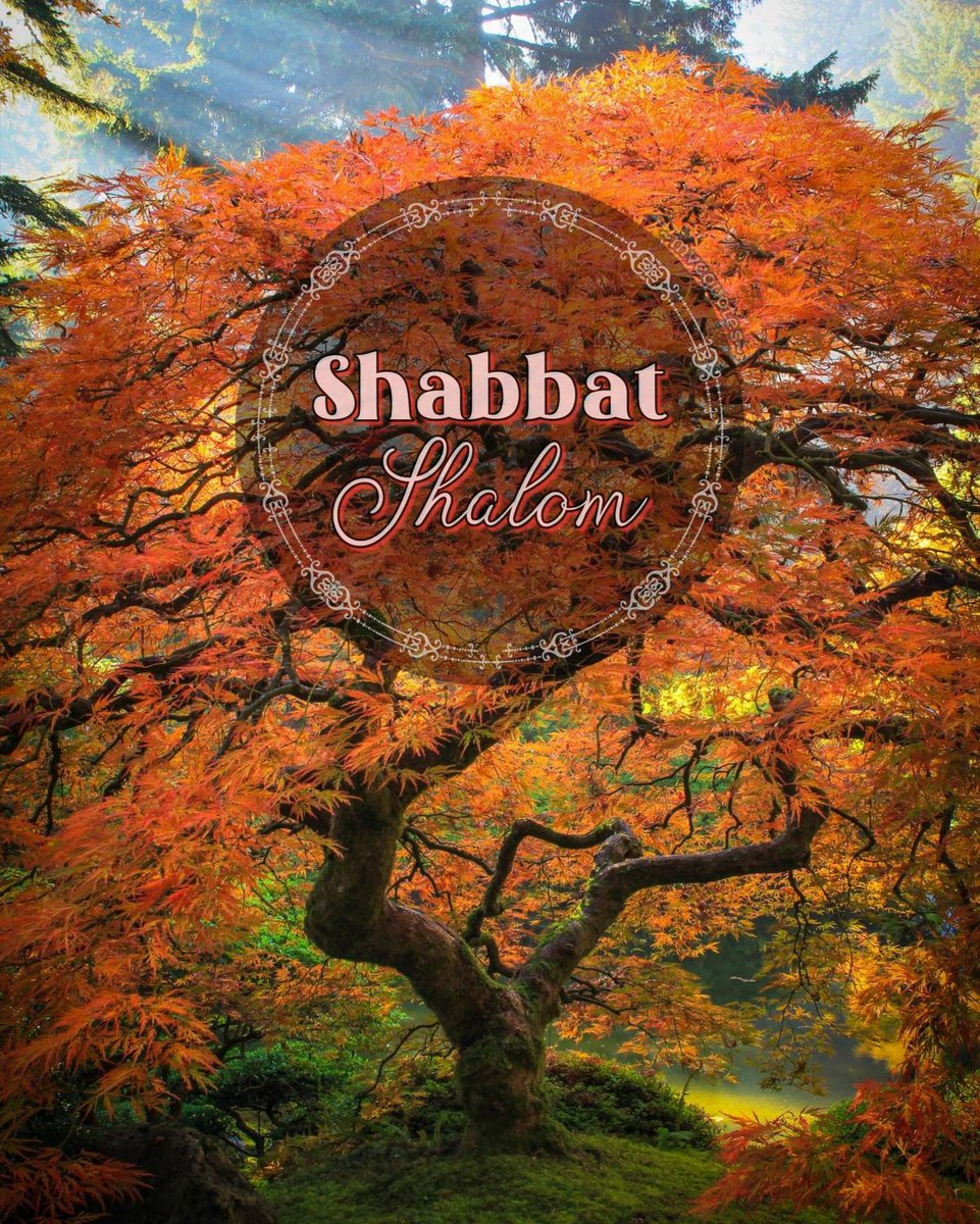 KephaRyan's tweet photo. Month 7 Day 11
Day 191 of the 360 days of Assembly
Day 196 of the 364 days of the Perfect Year
Day 7 of the week, 28th Shabbat of the Year
Priestly family on till midday duty: Maaziah
Priestly family starting midday on duty: Jehoiarib

Psalm 48, 92, Jubilees 2, Isaiah 58, https://t.co/Q8V1m3Da6f