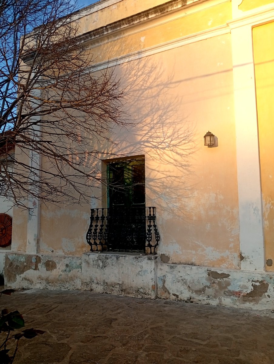 lignoa's tweet photo. Las sombras de un pasado, la belleza de un presente que se ríe del futuro. https://t.co/8u0P9OlWDK